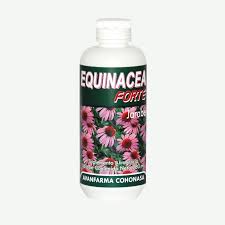 EQUINACEA FORTE 280ML COHO
