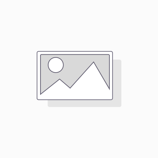 MANGOMITA 100GRS GRANEL
