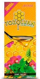 TOZOLVAN 250ML JARABE