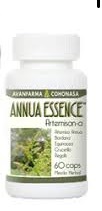 [7502221750328] ANNUA ESSENCE C/160 CAP. COHONASA