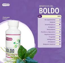 [7502221760921] BOLDO EXTRTACTO 75 MLCOHONASA